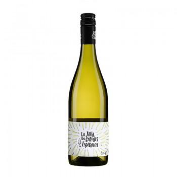 Loire - AOC Touraine La Java Des Grandes Espérances Blanc 2016 75CL - 