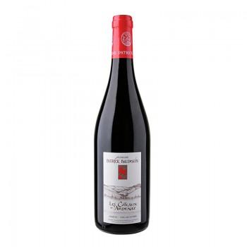 Loire - AOC Anjou Coteau D'Ardenay 2015 75CL -