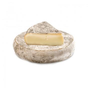Fromages de vache à pate pressée - Saint Nectaire Fermier Prix au Kg - 