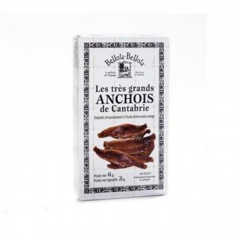Conserves de poissons - Anchois de Cantabrie à l'huile d'olive 48G - 