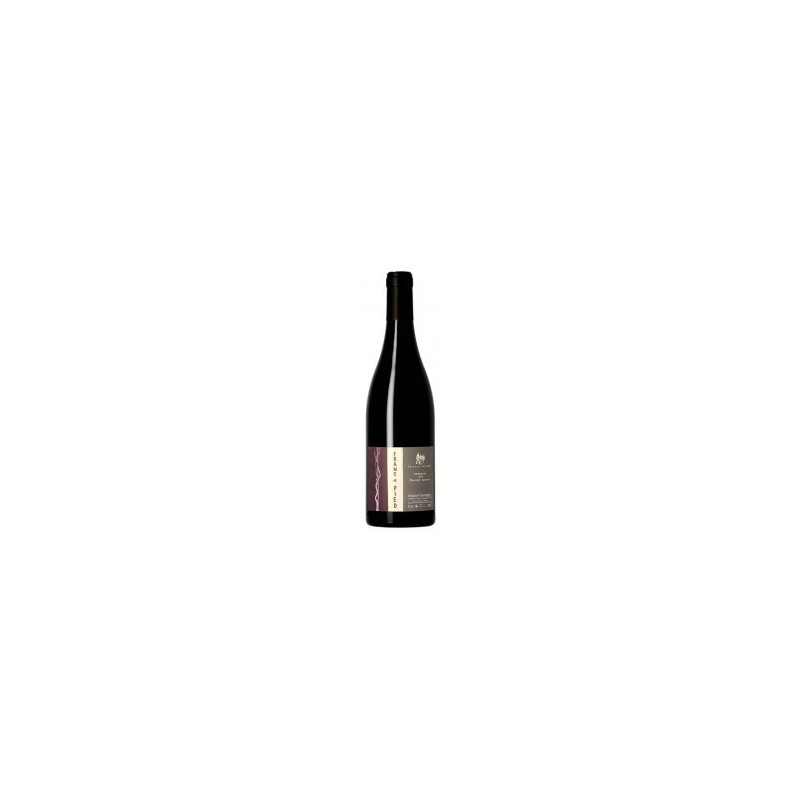 AOC Saumur-Champigny Franc de Pied 2016 Roches Neuves 75CL
