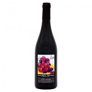 Beaujolais - AOC Beaujolais Nouveau Cuvée Première 2019 75CL - 