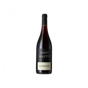 Languedoc - AOP Saint-Chinian Antonyme Canet Valette 2017 75CL - 