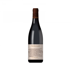 Collines Rhodaniennes Heluicum 2019 Vins De Vienne 75CL