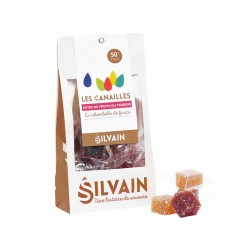 Sachet Pâtes De Fruits Les Canailles 200G Nougats Silvain