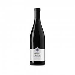 Bourgogne Pinot Noir Les Fortunés 2020 Domaine Chanzy 75CL