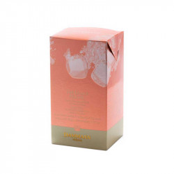 Thé Glacé Pêche Dammann Frères 6 sachets