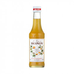 Sirop Monin Fruit de la Passion 25CL