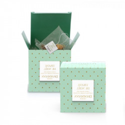 Etui 25 sachets Tisane de Noël Dammann Freres 50G