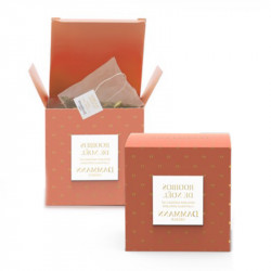 Etui 25 sachets Rooibos de Noël Dammann Freres 50G