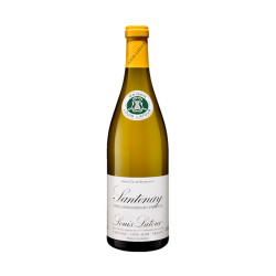 Santenay Blanc 2019 Louis Latour 75Cl