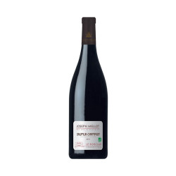 Saumur-Champigny Le Boisclair 2022 Jean Michel Sorbe 75CL