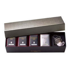 Coffret Jardin De Thé Dammann Frères | 4 boites+infuseur