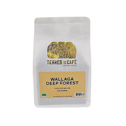 Café en Grains Ethiopie Wallaga Terres de Café en vrac 250G