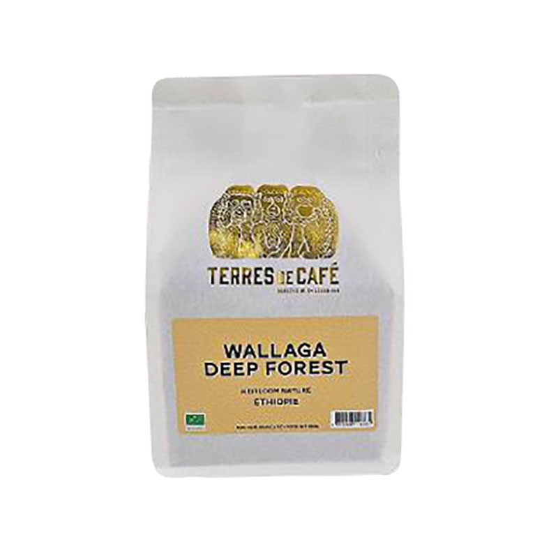 Café en Grains Ethiopie Wallaga Terres de Café en vrac 250G