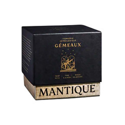 Tisane Gémeaux Coffret Mantique