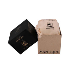 Tisane Gémeaux Coffret Mantique