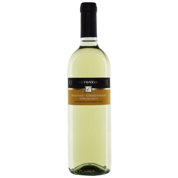 Italien - IGT Terre di Chieti Ortonese Blanc 2016 75CL - 