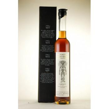 Cognac, Armagnac & Calvados - Armagnac Aurensan Millésime 1977 50CL - 
