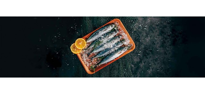 Sardines d'Exceptions, Sardines En Ligne| Comptoir Nourisson