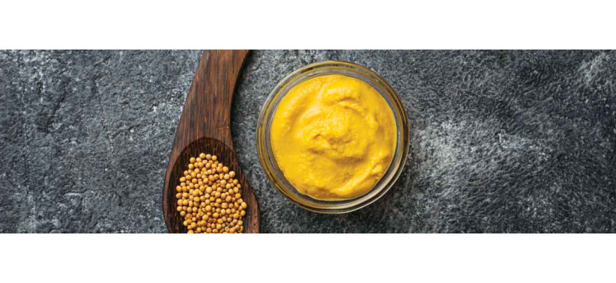 Moutardes Fallot | Moutardes de Dijon | Comptoir Nourisson