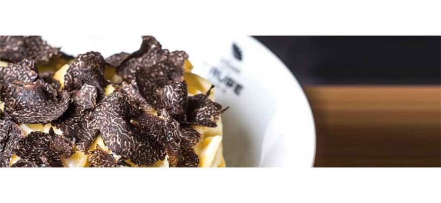 Truffes : Plats Cuisinés à la Truffe | Comptoir Nourisson
