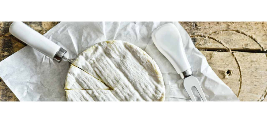 Fromages de vache à pate molle