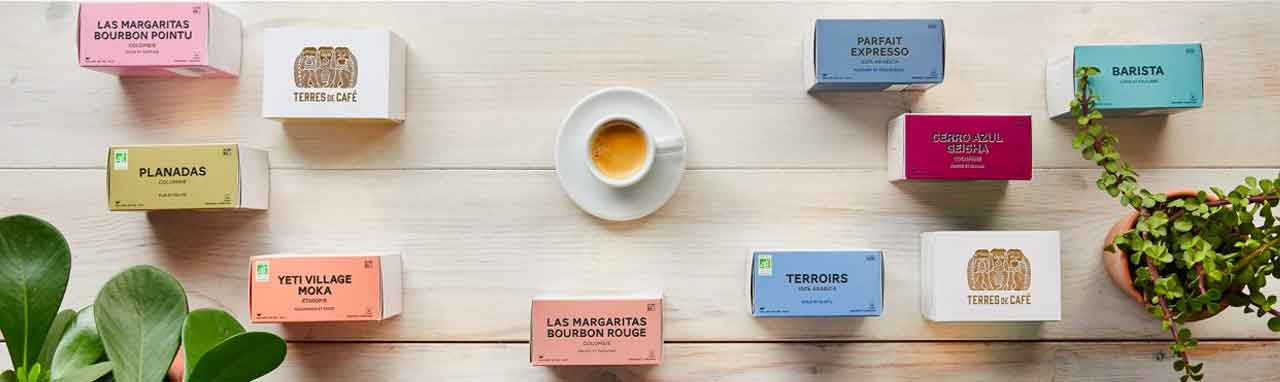 TERRES DE CAFÉ