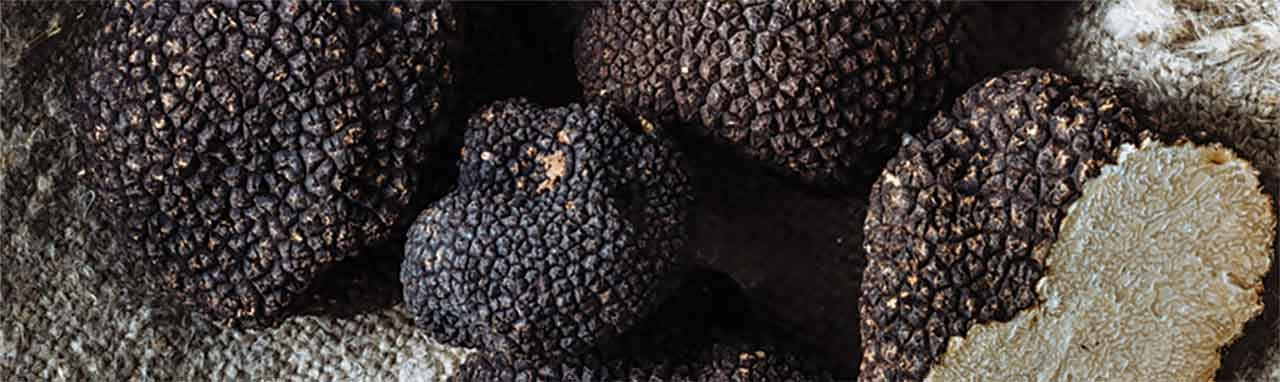 ARTISAN DE LA TRUFFE