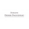 DIDIER DAGUENEAU
