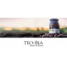 TEO & BIA